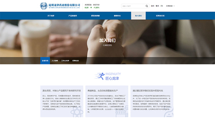 昆明奥远科技 全方位网络媒体设计制作解决方案