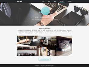 比邻文化传媒公司网页改版与网络媒体设计制作方案